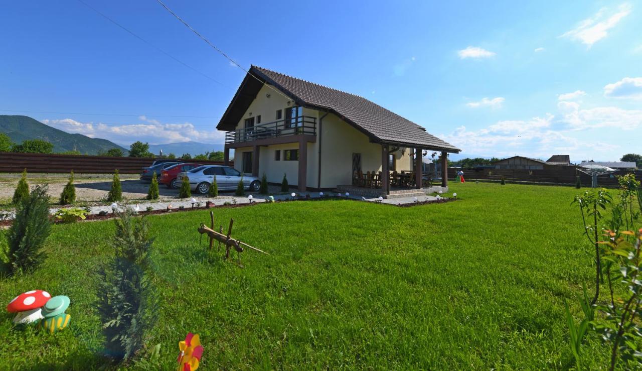 Pensiunea Daria Hateg Luaran gambar