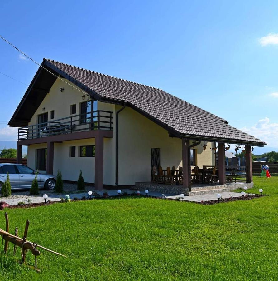 Pensiunea Daria Hateg Luaran gambar
